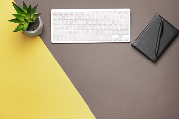 Modern computer keyboard with stationery and plant on color background
