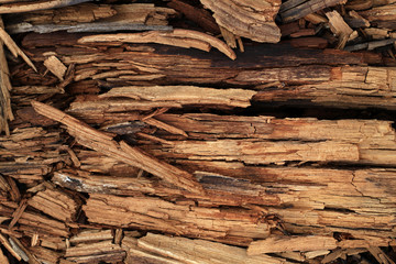 old stray wood background