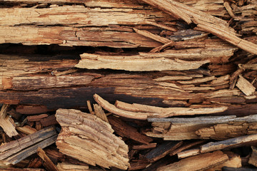 old stray wood background
