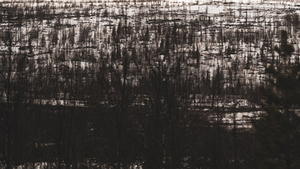 Abstract snowy forest landscape. Dark forest under snow. winter background