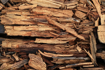 old stray wood background