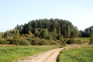 Fototapeta na wymiar Meadow, country dirt road and forest
