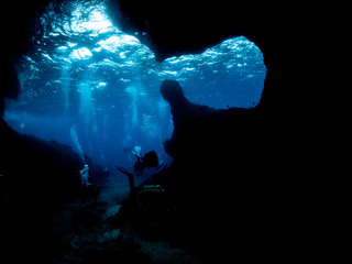 Christmas Island Underwater
