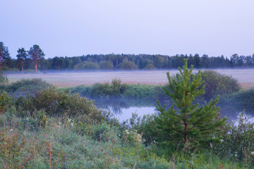 Morning fog in the fields on the lake. Morning summer landscape.