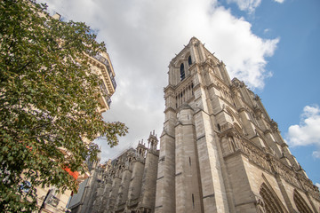 Fototapeta na wymiar Cathedral Notre-Dame in Paris
