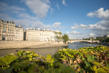 Fototapeta premium Seine in the Sun