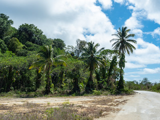 Fototapeta premium Christmas Island