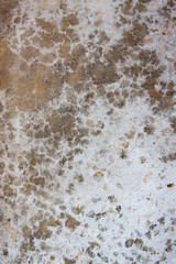 concrete texture