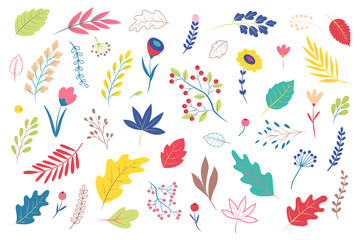Autumn leaves, flowers, berries,  bushes. Set of plants. Herbs for vector flat design