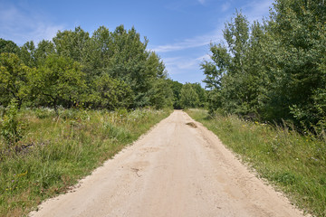 Fototapeta na wymiar Rural road through meadow