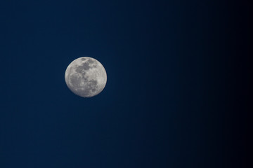 Obraz premium La luna