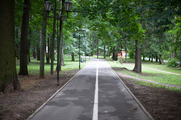 Fototapeta na wymiar The road in the city park. Bike path for cyclists. Simple day in the city. Empty street.