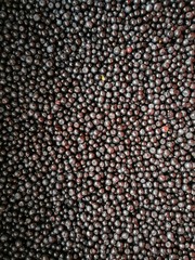 Fresh blueberries background 