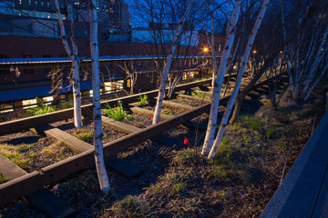 Fototapeta na wymiar High Line RR tracks