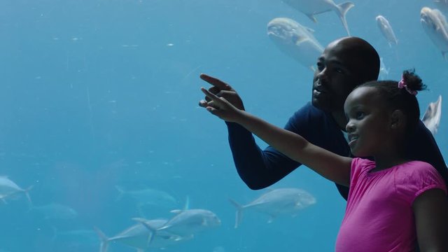 father with little girl at aquarium looking at fish tank teaching curious child about sea life dad showing daughter marine animals in oceanarium