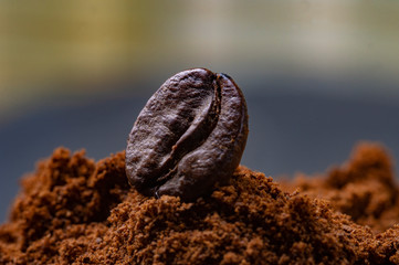 Coffee grain lying on the ground coffee