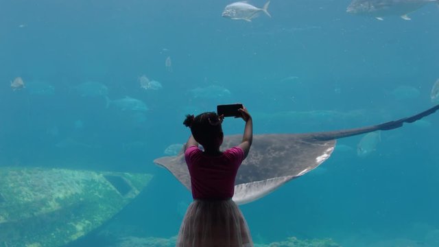 little girl taking photo of fish in aquarium using smartphone photographing marine animals swimming in tank learning about sea life in aquatic habitat having fun in oceanarium
