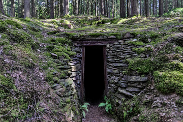 historic mining tunnel in a forest
