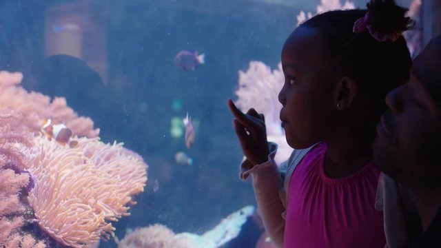 little girl with father in aquarium looking at fish swimming in coral reef curious child watching marine animal enjoying learning about sea life with dad in oceanarium