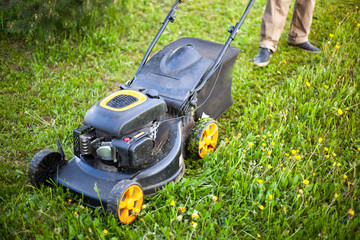 Lawn mower during operation. It's time to mow the grass. Care of a country site of the earth.