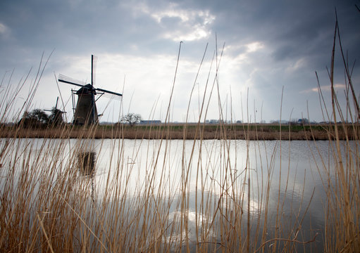 View of reeds by canal with windmill in background