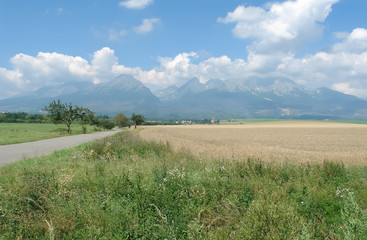 Road, fields and panoramic view of the High Tatras in sunny summer day.
