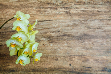 A branch of yellow orchids on a brown wooden background. Orchid on natural brown wooden background top view. Wood texture close up. Copy space