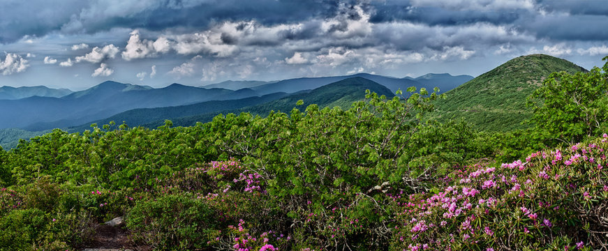 View from Craggy Gardens in Asheville, NC near the Great Smoky Mountains National Park showing the layers of the Appalachian mountains.