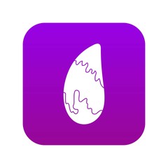 Brazil nut icon digital purple for any design isolated on white vector illustration
