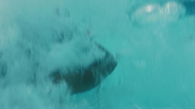 happy friends jumping in swimming pool having fun splashing underwater together group of teenagers enjoying pool party on sunny day spring break celebration 4k