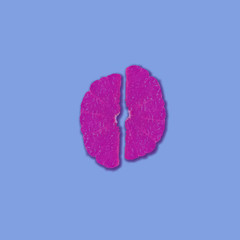 flip flops on white background