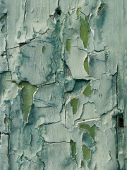 Texture. Cracked layers of old paint on a wooden surface. Cracks, craquelure. Close-up. Still life.