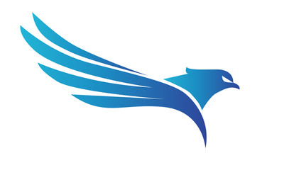 eagles