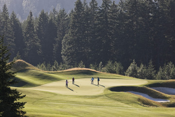 Senior couples playing golf on golf course