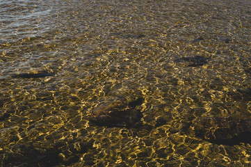Shiny transparent water. clear water with pebbles and stone on the bottom. shining reflections of sun rays and ripples on the water