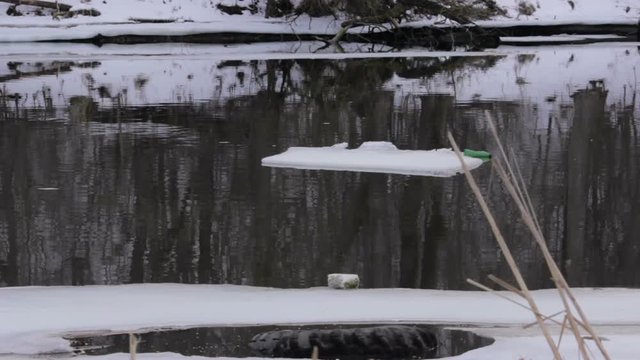 The river bank, waves of dirty melt snow water
