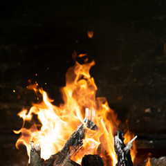 fire flames in bonfire stove isolated with balck