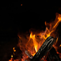 fire flames in bonfire stove isolated with balck