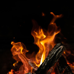 fire flames in bonfire stove isolated with balck