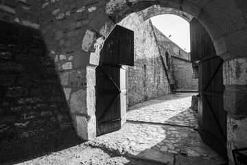 Fototapeta premium Smederevo Fortress