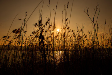 Obraz premium Sunset by the lake
