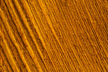 Wooden texture. rough wood macro background