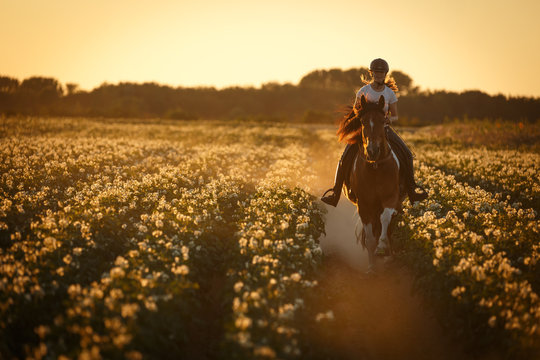 Freies Reiten im Feld
