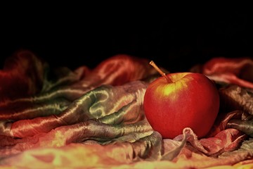 Still life with red apple and scarf on black background.