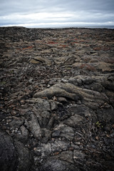 Galapagos landscapes, diverse scenery, and vistas