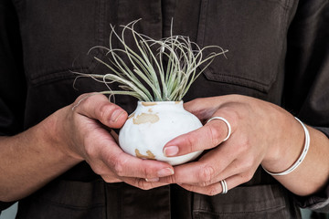 Midsection of woman holding air plant in terracotta pot