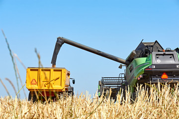 Green combine harvester machine unloading wheat into a yellow trailer truck. Wheat harvest in...