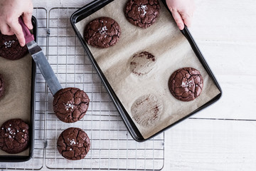 Woman using knife to move chocolate brownies from baking tray to cooling rack