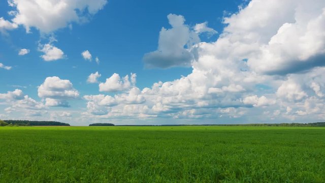 Beautiful landscape, qualitative time lapse of sky and green grass.
