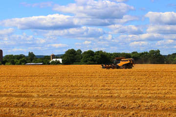 Agricultural background and rural life at summer concept. Scenic rural landscape with harvested...